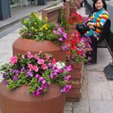 (Category: ) located in . Submitted by yenny.then.73 (Listing ID 1380697495, Image 1). Description: .