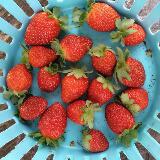 (Category: ) located in . Submitted by mm-grabs (Listing ID 1358017268, Image 1). Description: .