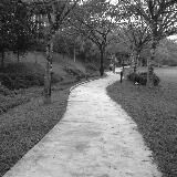 (Category: ) located in . Submitted by jlk (Listing ID 1378346795, Image 1). Description: .