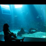 (Category: ) located in . Submitted by nawmk (Listing ID 1461089672, Image 1). Description: .