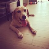 (Category: ) located in . Submitted by mariaandphoebe (Listing ID 1370080877, Image 1). Description: .