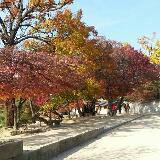 (Category: ) located in . Submitted by coni (Listing ID 1373071270, Image 1). Description: .