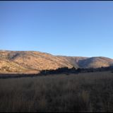 (Category: ) located in . Submitted by wlrach (Listing ID 1179856914, Image 1). Description: .