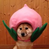(Category: ) located in . Submitted by hydrohomie98 (Listing ID 1293719588, Image 1). Description: .