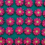 (Category: ) located in . Submitted by flowerpatch (Listing ID 1448649606, Image 1). Description: .