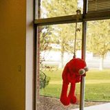 (Category: ) located in . Submitted by jerl (Listing ID 1376321517, Image 1). Description: .