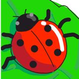 (Category: ) located in . Submitted by things2sell (Listing ID 1457766731, Image 1). Description: .