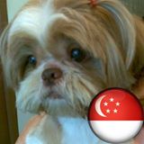 (Category: ) located in . Submitted by flowerbt (Listing ID 1338956143, Image 1). Description: .