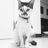 (Category: ) located in . Submitted by lola.lola (Listing ID 1448977906, Image 1). Description: .