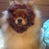 (Category: ) located in . Submitted by vincent.moo.7 (Listing ID 1383993937, Image 1). Description: .