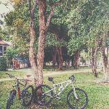 (Category: ) located in . Submitted by tatchee (Listing ID 1342834910, Image 1). Description: .
