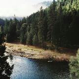 (Category: ) located in . Submitted by shxn (Listing ID 1331578598, Image 1). Description: .