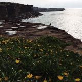 (Category: ) located in . Submitted by ccc59 (Listing ID 1378822811, Image 1). Description: .