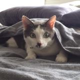 (Category: ) located in . Submitted by avyeo (Listing ID 1380925026, Image 1). Description: .