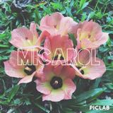 (Category: ) located in . Submitted by micarol (Listing ID 1367549332, Image 1). Description: .
