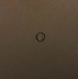 (Category: ) located in . Submitted by sure_n_stedfast (Listing ID 1309042752, Image 1). Description: .