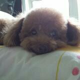 (Category: ) located in . Submitted by stephlaine (Listing ID 1090612145, Image 1). Description: .