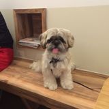 (Category: ) located in . Submitted by sseseah (Listing ID 1384780050, Image 1). Description: .