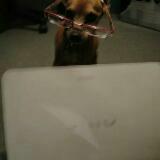 (Category: ) located in . Submitted by triple.rs (Listing ID 1349141460, Image 1). Description: .