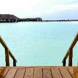 (Category: ) located in . Submitted by checking_in (Listing ID 1385963970, Image 1). Description: .
