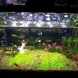 (Category: ) located in . Submitted by kurty (Listing ID 1380435731, Image 1). Description: .
