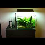 (Category: ) located in . Submitted by chia.w.1 (Listing ID 1326104141, Image 1). Description: .