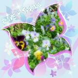 (Category: ) located in . Submitted by love4spring (Listing ID 53317084, Image 1). Description: .