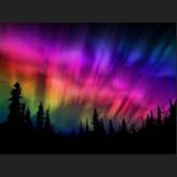 (Category: ) located in . Submitted by socialbutterfly (Listing ID 1375746762, Image 1). Description: .