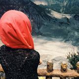 (Category: ) located in . Submitted by nizyanani (Listing ID 1449876983, Image 1). Description: .