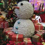 (Category: ) located in . Submitted by SnowField (Listing ID 1347190793, Image 1). Description: .
