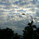 (Category: ) located in . Submitted by glenchia (Listing ID 1370563102, Image 1). Description: .