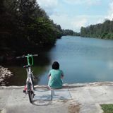 (Category: ) located in . Submitted by peizee (Listing ID 1379382379, Image 1). Description: .