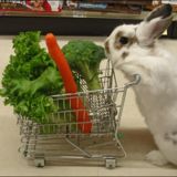 (Category: ) located in . Submitted by thecashmachine (Listing ID 148010294, Image 1). Description: .