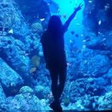 (Category: ) located in . Submitted by roseate.love (Listing ID 1374275462, Image 1). Description: .
