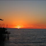 (Category: ) located in . Submitted by ernyl (Listing ID 1442403211, Image 1). Description: .