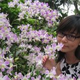 (Category: ) located in . Submitted by maomaoxie (Listing ID 1448924579, Image 1). Description: .