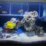 (Category: ) located in . Submitted by marksing (Listing ID 153801417, Image 1). Description: .