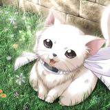 (Category: ) located in . Submitted by meow13 (Listing ID 1377848662, Image 1). Description: .