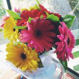 (Category: ) located in . Submitted by pushing_cushions (Listing ID 1362859075, Image 1). Description: .