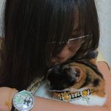 (Category: ) located in . Submitted by cats_and_corgi (Listing ID 1303181546, Image 1). Description: .
