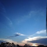 (Category: ) located in . Submitted by azure.s (Listing ID 1384723309, Image 1). Description: .