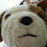 (Category: ) located in . Submitted by hhanh (Listing ID 1384264953, Image 1). Description: .