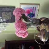 (Category: ) located in . Submitted by glammour (Listing ID 1349313732, Image 1). Description: .