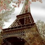(Category: ) located in . Submitted by magicalsurprise (Listing ID 1352315468, Image 1). Description: .