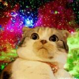 (Category: ) located in . Submitted by ray_sg (Listing ID 1198925115, Image 1). Description: .