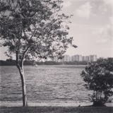 (Category: ) located in . Submitted by crhow (Listing ID 1378871717, Image 1). Description: .