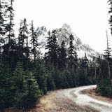 (Category: ) located in . Submitted by boborianz (Listing ID 1378859793, Image 1). Description: .