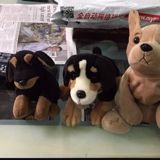 (Category: ) located in . Submitted by roxyshome (Listing ID 1346678302, Image 1). Description: .