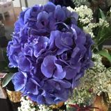 (Category: ) located in . Submitted by zestie (Listing ID 1377431459, Image 1). Description: .