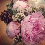 (Category: ) located in . Submitted by peonylove (Listing ID 1243420684, Image 1). Description: .